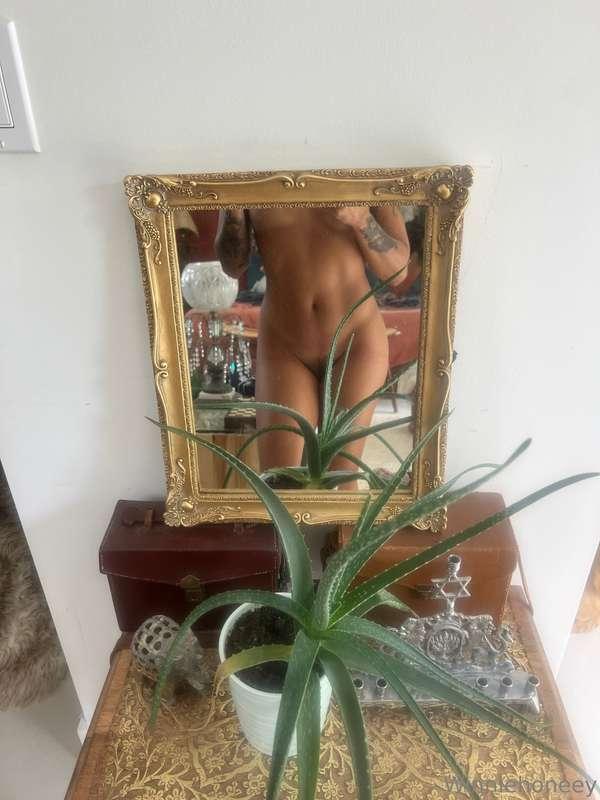 winniesworlld image #1