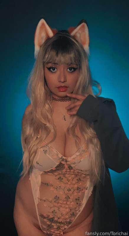 torichai image #2