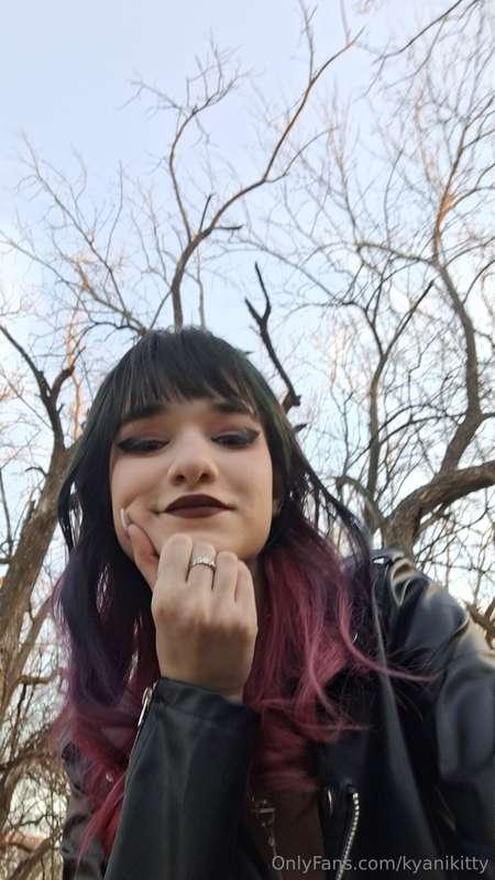 kyanikitty image #1