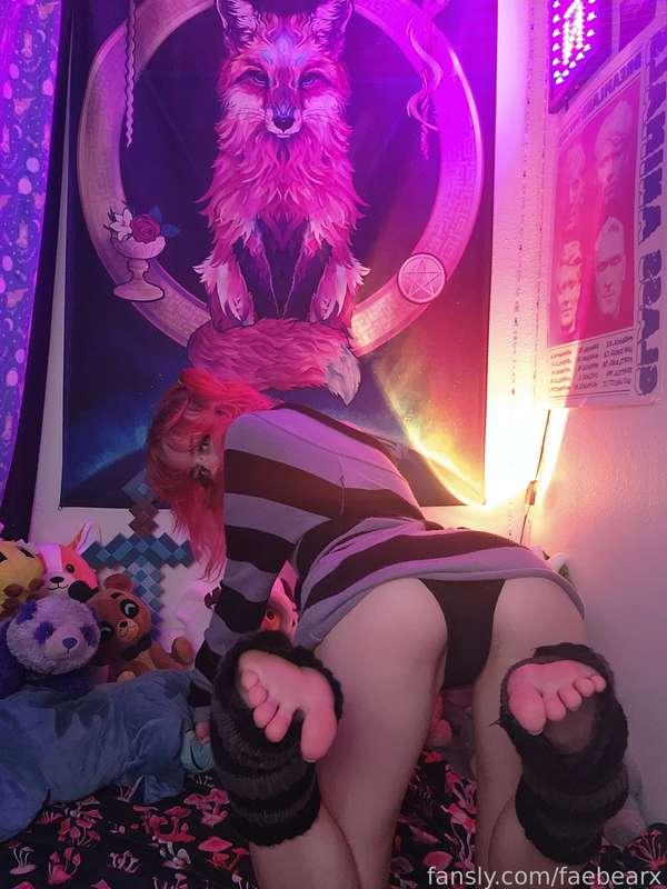 faebearx image #6
