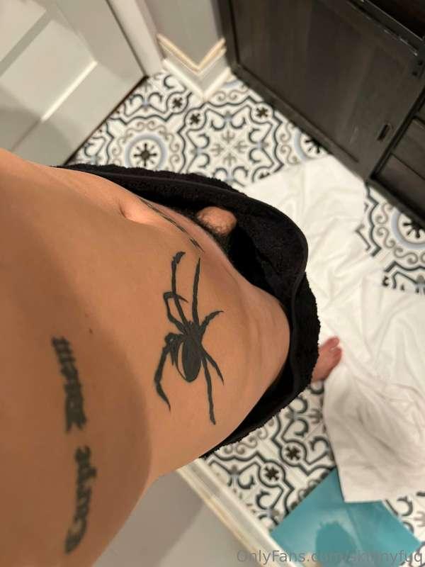 Fred the spider 🕷️