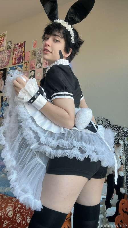 indigowhite image #70
