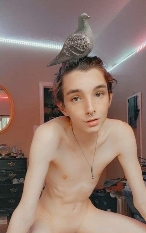 bird on head 🕊️