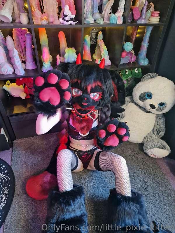 little_pixie_kitten image #8