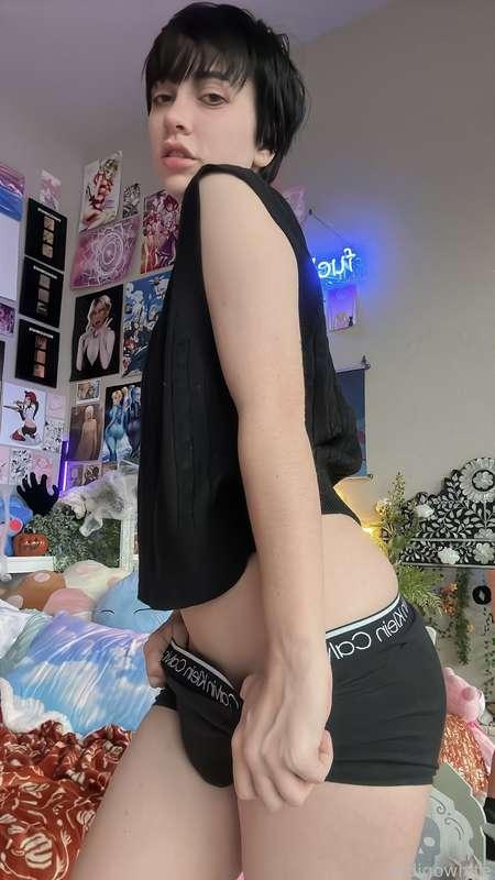 indigowhite image #102