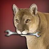 ZZPuma