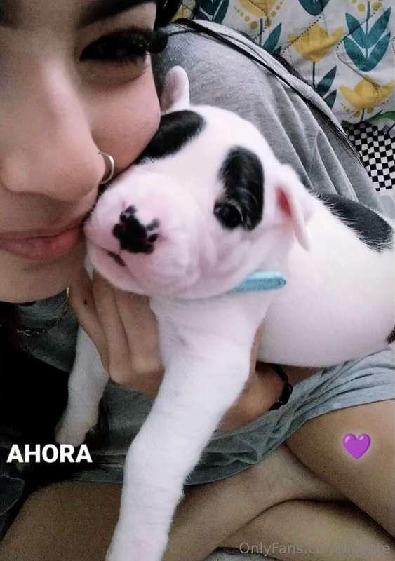 You like my puppy 🐶