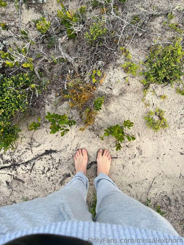 missalexthorn image #5