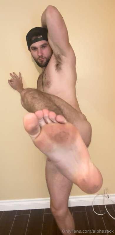 alphazack image #8