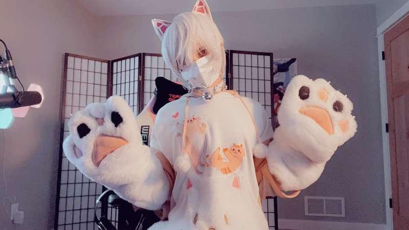 catboiaoi image #4