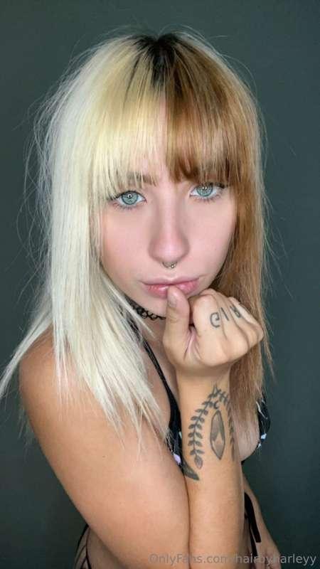 harley_fayefree image #0