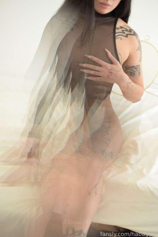 habagyal image #2