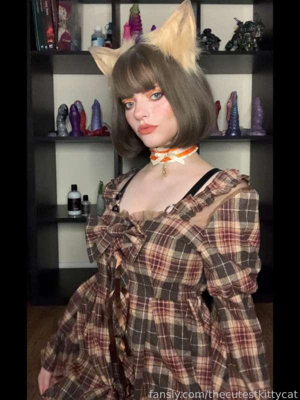 thecutestkittycat image #1