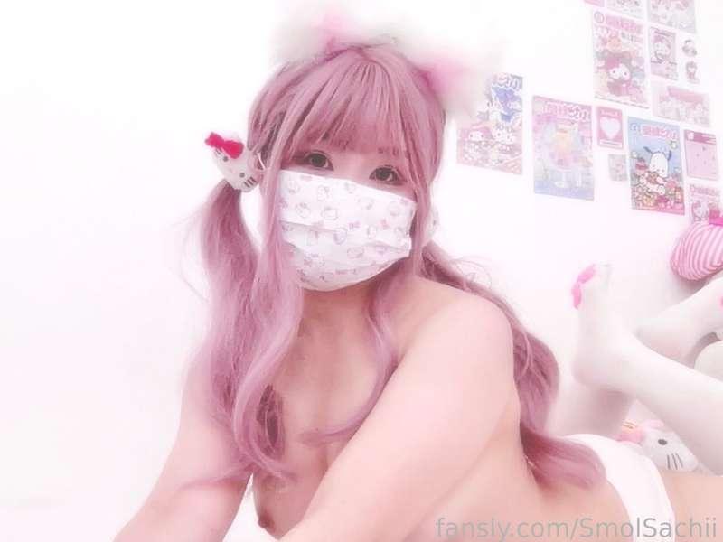smolsachii image #1