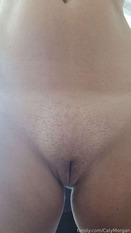 calymorgan image #0