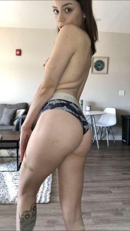 🦈