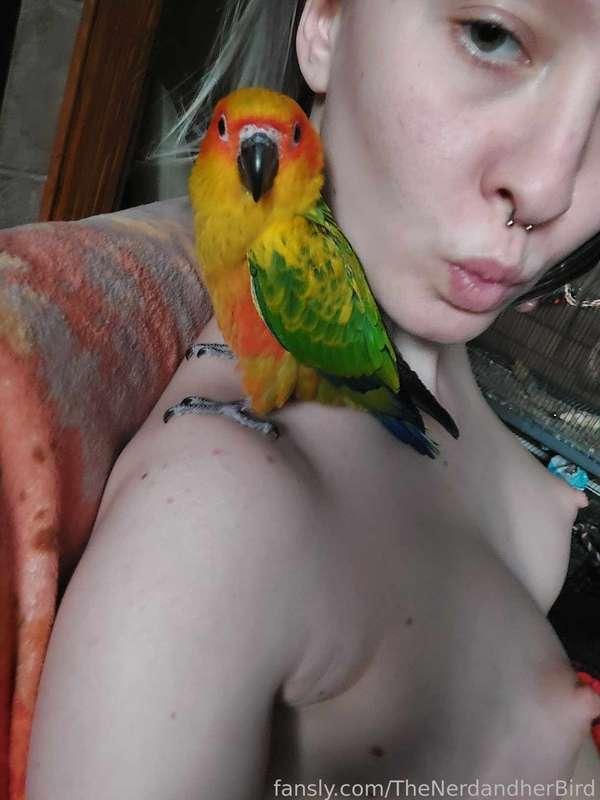 thenerdandherbird image #1