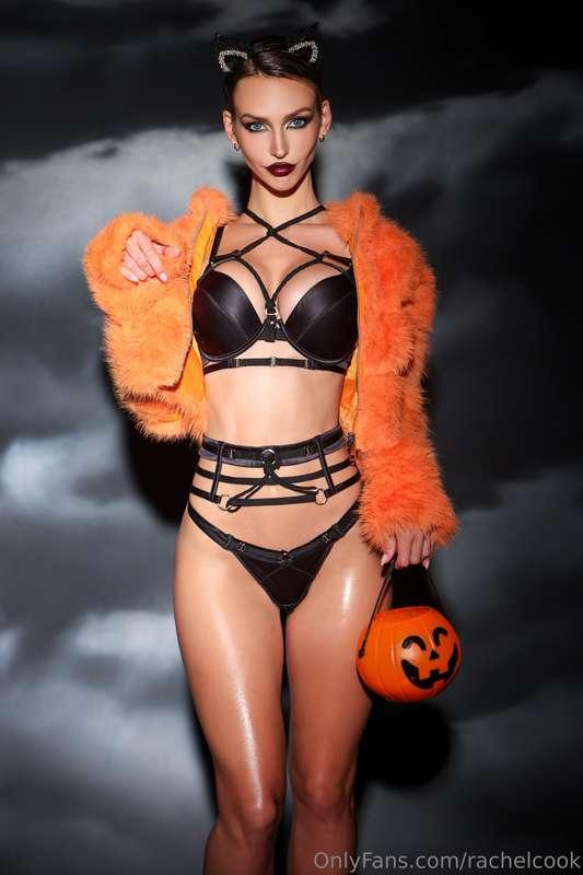 purrr bad kitty purrr 🐱… full set dropping tmrw! 🐈‍⬛🎃