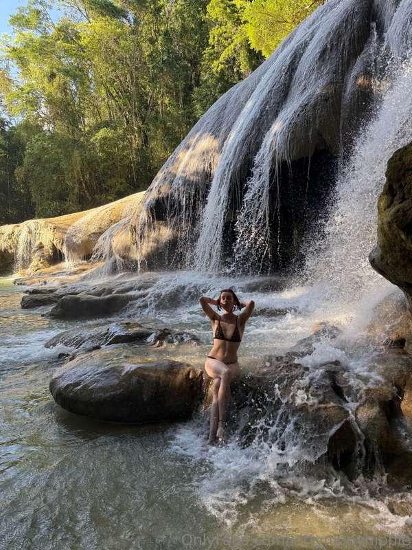 kittynippyhippie image #0