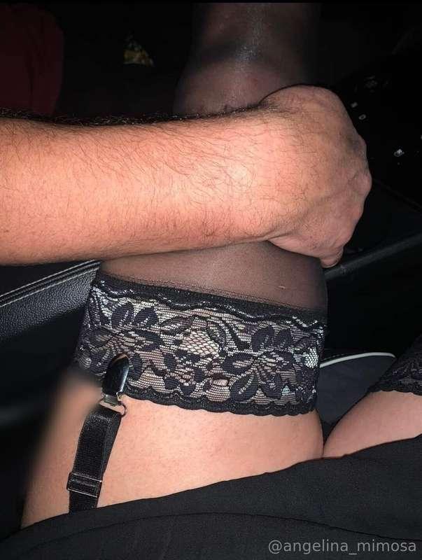 angelina_mimosa image #1