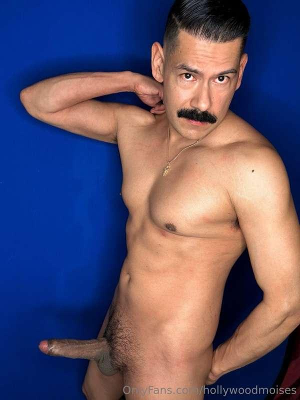 hollywoodmoises image #4