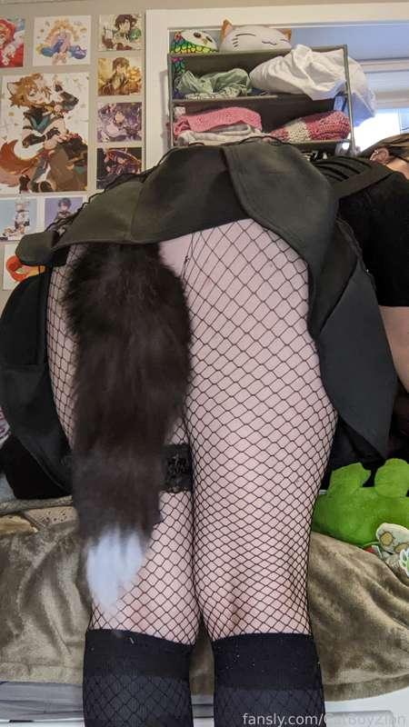 catboyzion image #6