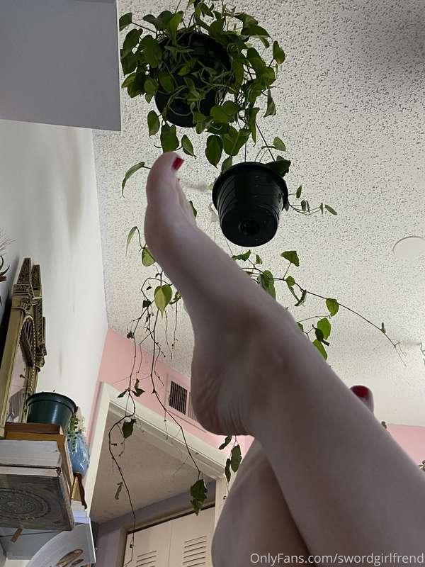 i like my feet