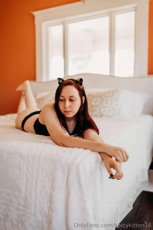 spicykitten16 image #0