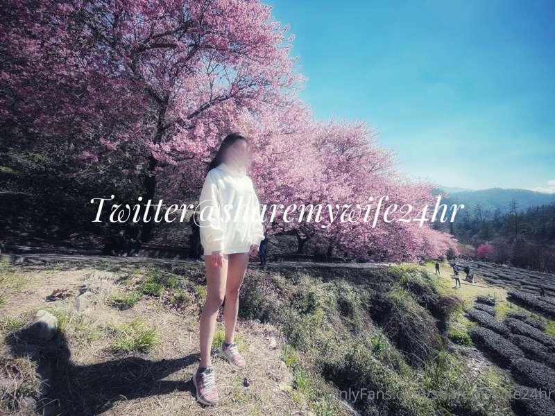 🌸🌸🌸