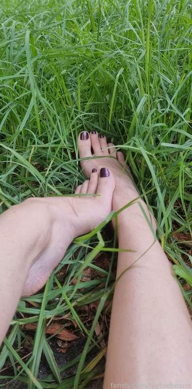 taytoebeans image #1