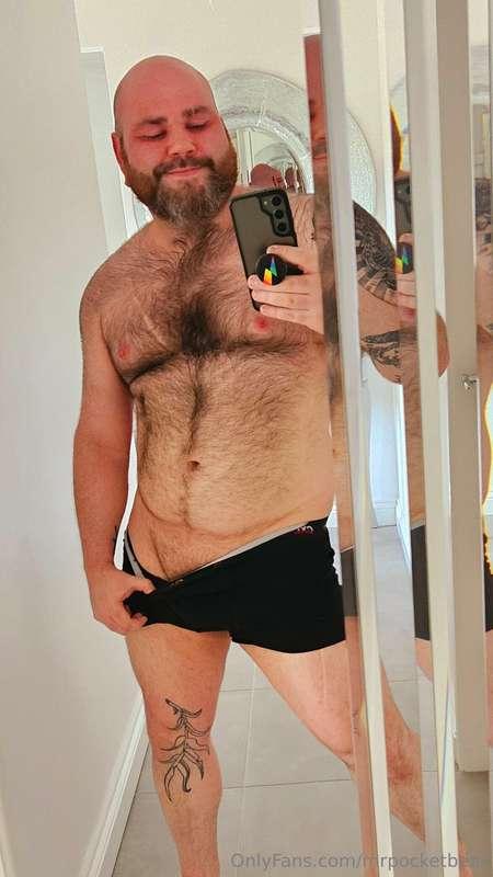 Big bear with a big attitude 😋