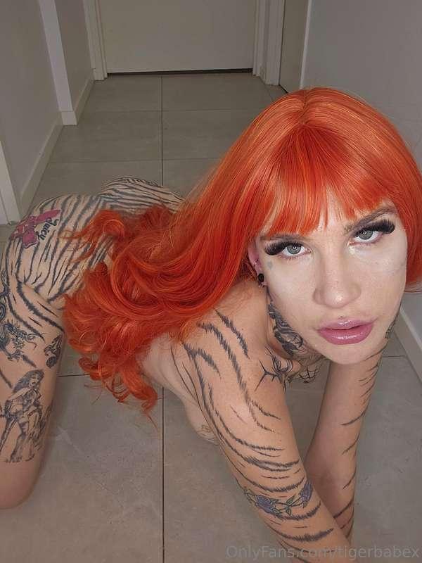 tigerbabex image #1
