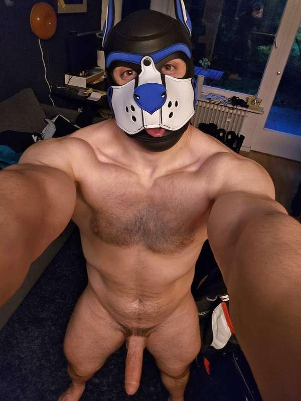 Who would like to cuddle with me? 🤗💙