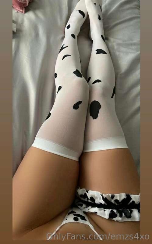 🐄🐄
