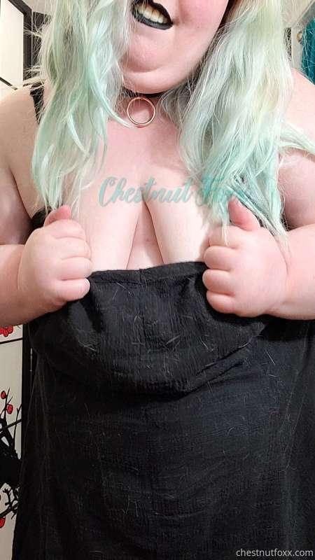 I think this dress goes great with my collar. What do you th..