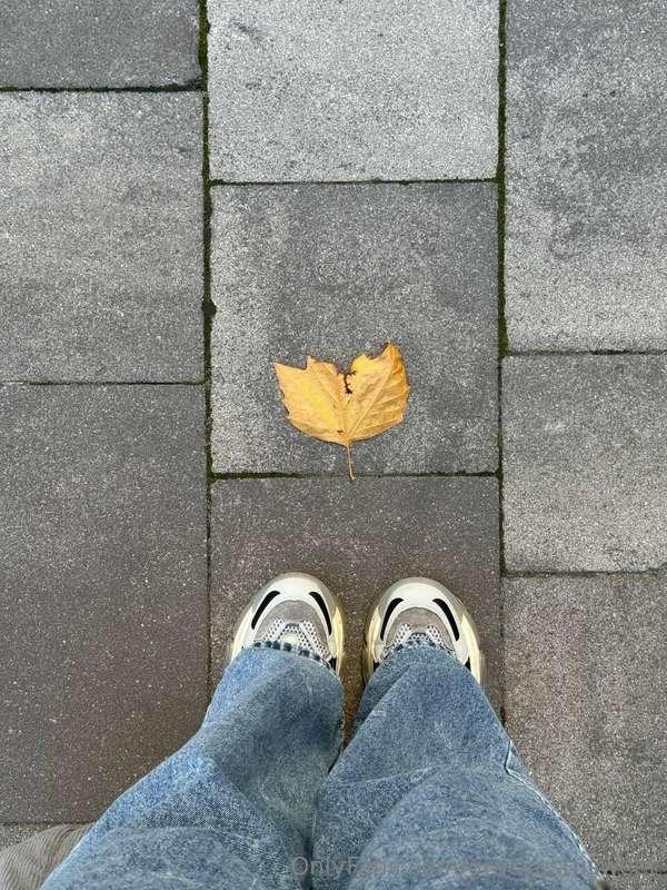 Weird leaf from an autumn tree, but beauty in imperfection, ..