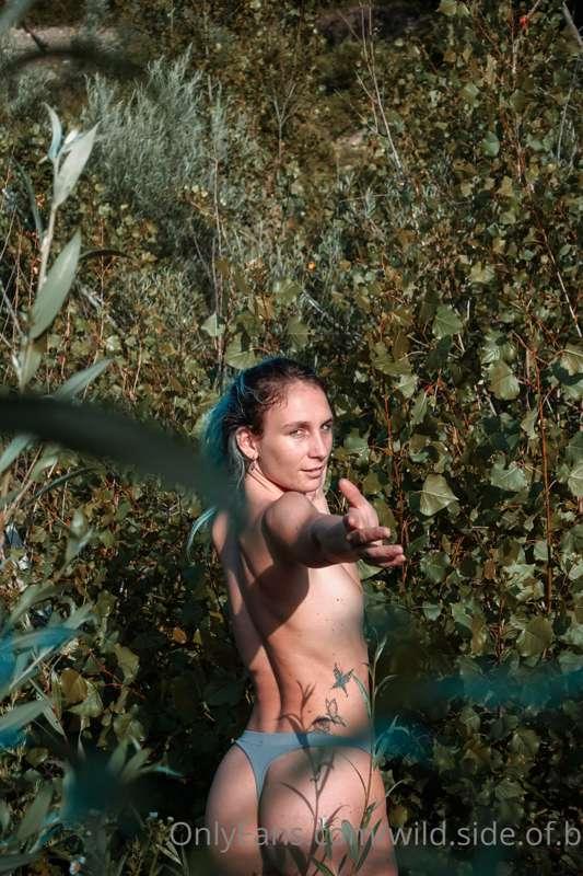 wild.side.of.b image #2