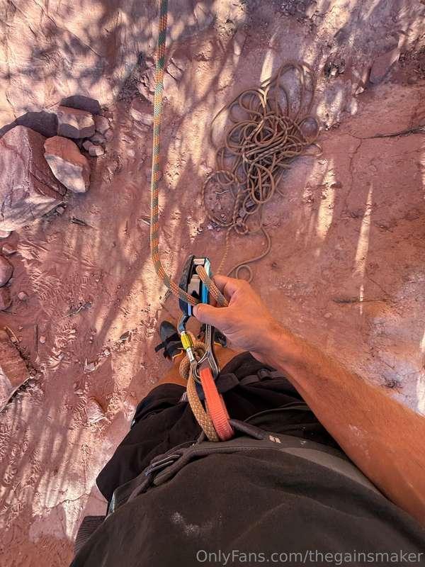 thegainsmaker image #14