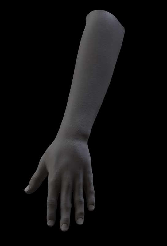 Handy Dandy Hand Morphs