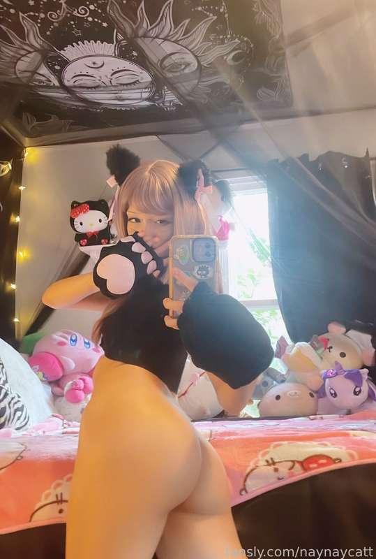 naynaycatt image #19