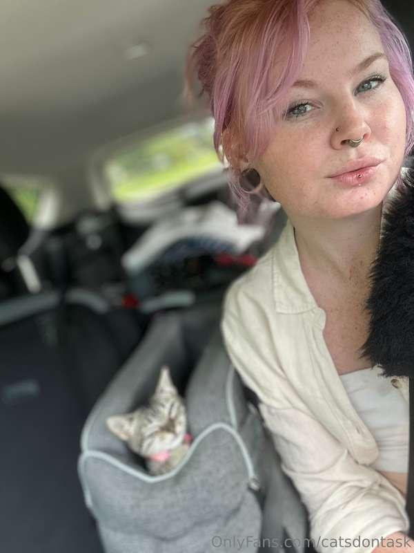 Do you like furry kitties too? ;)  We’re on the way to the v..