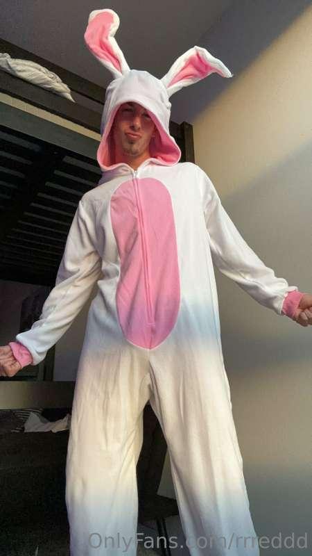 easter shenanigans 🐇