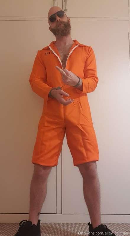 Here's a sneak peek at my next video idea. 

**INTRODUCING P..