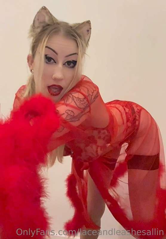 laceandleashesallin image #4