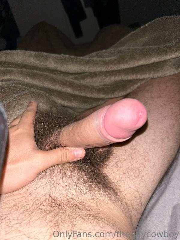 thegaycowboy image #0