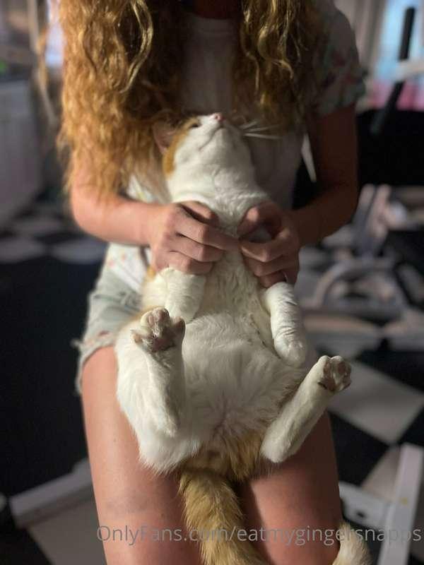 His name is Lul Cat 🤷‍♀️