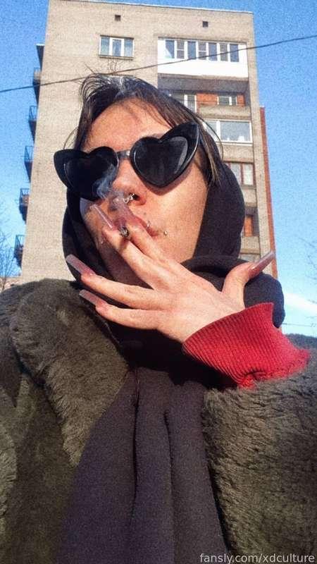 xdculture image #0