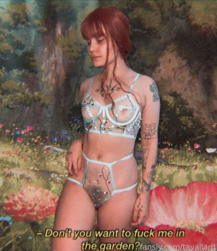 tayallard image #2