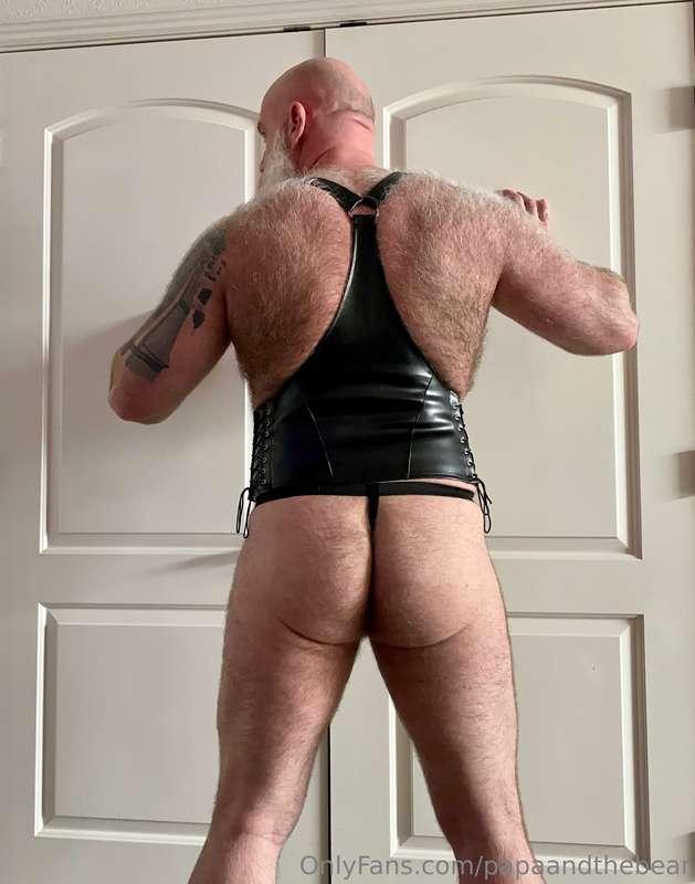 papaandthebear image #2