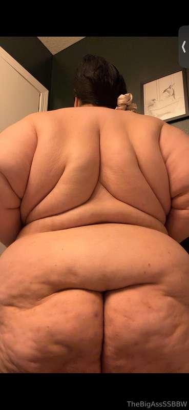 thebigassssbbw1 image #0